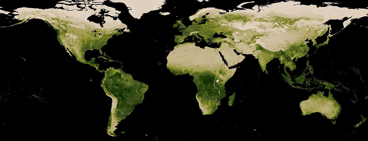 Global vegetation index satellite map
