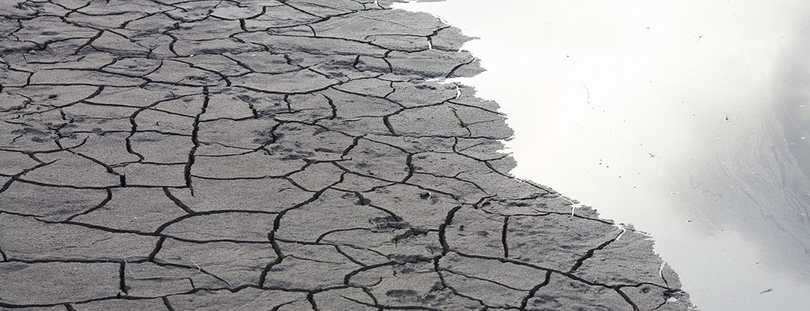 Dry cracked earth by a body of water