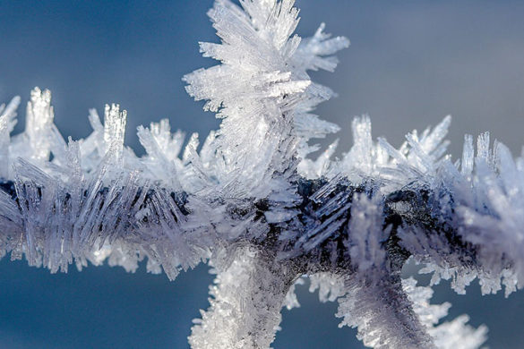 Ice crystals on wire